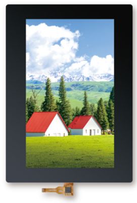 comprare 10Display LCD TFT da 1 pollice 800×1280 Risoluzione 300cd/m2 Luminosità per dispositivi medici online manufacture