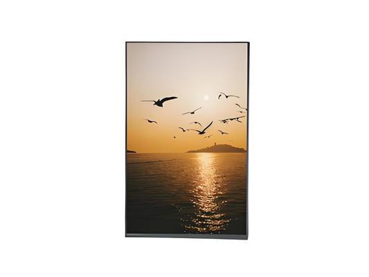 Αγορά Προσαρμοσμένη βιομηχανική οθόνη LCD 10,1 ιντσών HD IPS LCD οθόνη 800x1280 pixels online manufacture