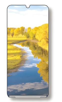 kopen 6,56 inch IPS TFT LCD-scherm 720x1612 resolutie 300 cd/m2 MIPI-interface voor POS / PDA online manufacture