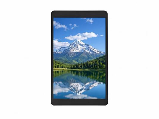 Buy 10.95 Inch IPS Medical TFT LCD Module 1200×1920 MIPI Display online manufacture