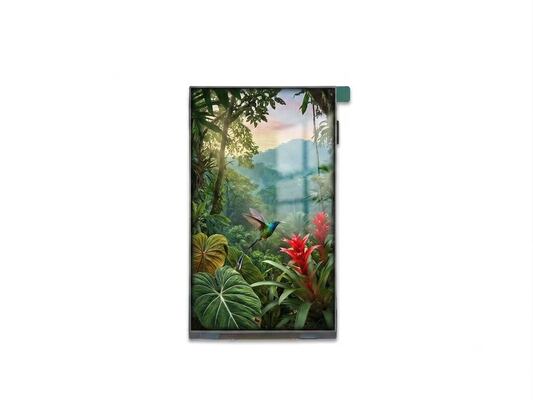 Buy 5.7 Inch Vertical IPS TFT LCD Touch Display 720x1440 MIPI For Security Systems online manufacture
