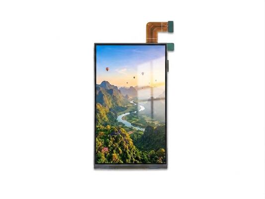 Buy 5.99 Inch IPS TFT LCD Touch Display Module 720x1440 MIPI For Access Control Systems online manufacture